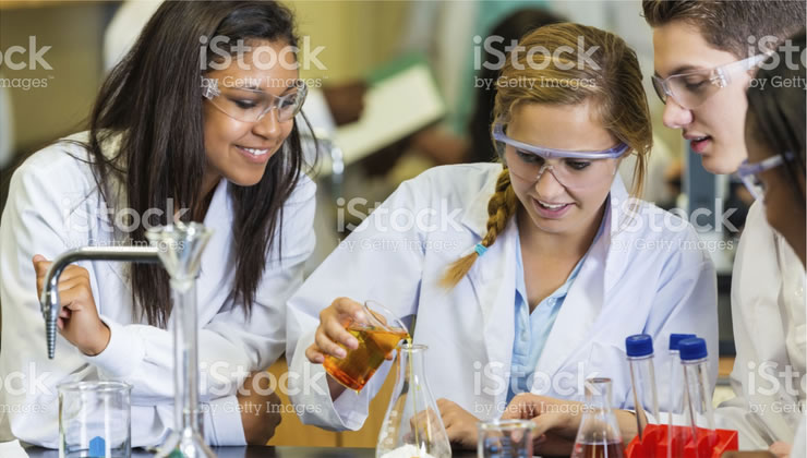 Scholarships & Grants